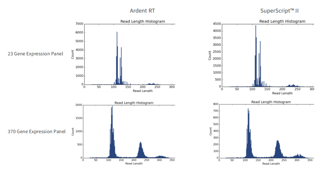 Invitrogen™ M-MLV Reverse Transcriptase (200 U/µL)